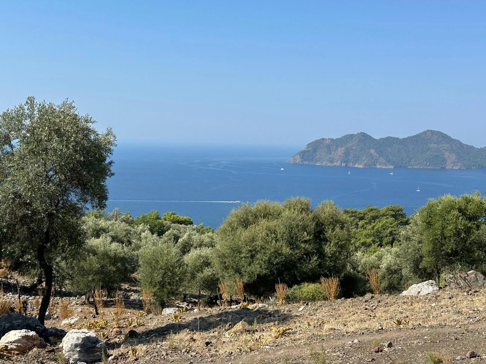 In Çandır mit Meerblick 21.000 m2 zu verkaufen 2b Feld