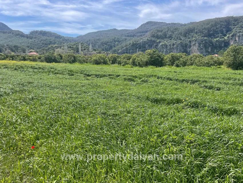 In Okçular Einem 736m2 Großen, 250m2 Großen Bau Genehmigten Verkäuflichen Grundstück