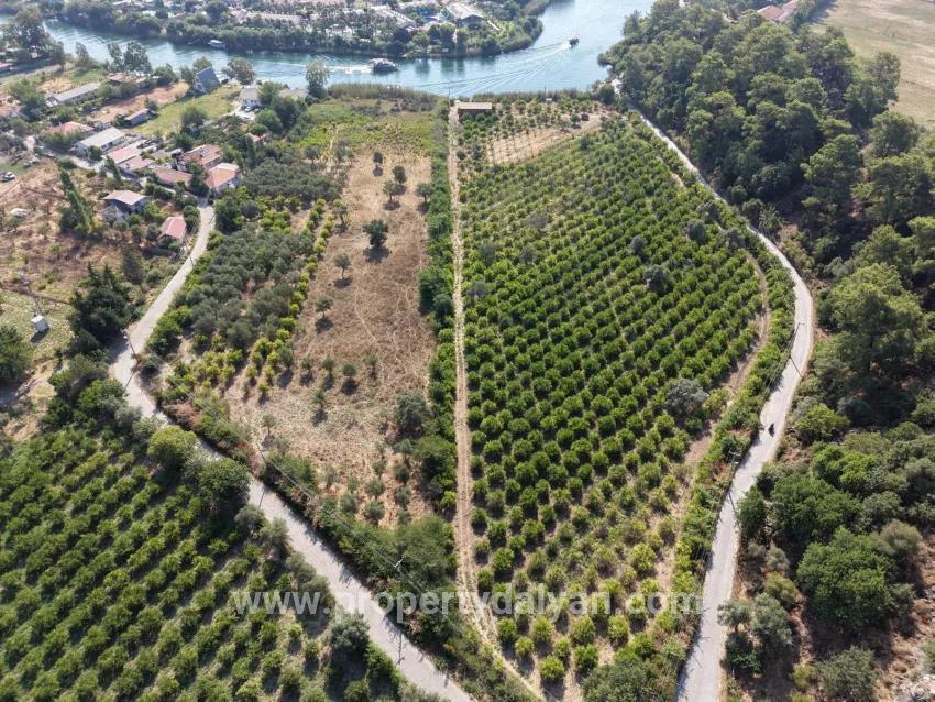 Im Köyceğiz Çandır Mahallesinde kanala sıfır 20.000m2 satılık Feld