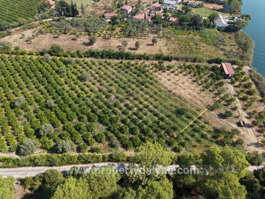 Im Köyceğiz Çandır Mahallesinde kanala sıfır 20.000m2 satılık Feld