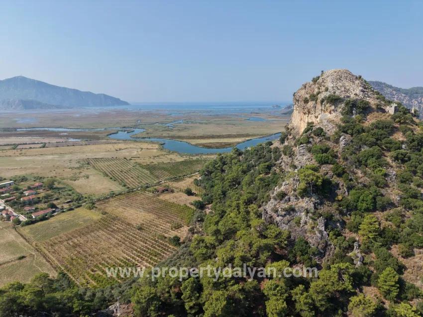 Im Köyceğiz Çandır Mahallesinde kanala sıfır 20.000m2 satılık Feld