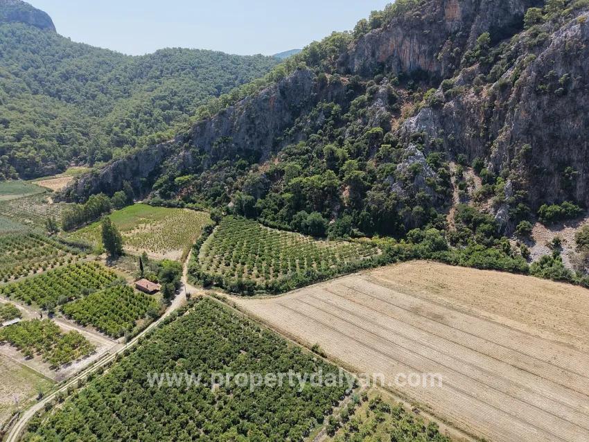 Feld Zu verkaufen in Dalyan Bz. Ortaca - Feld-Zonierung - 20.786 m²