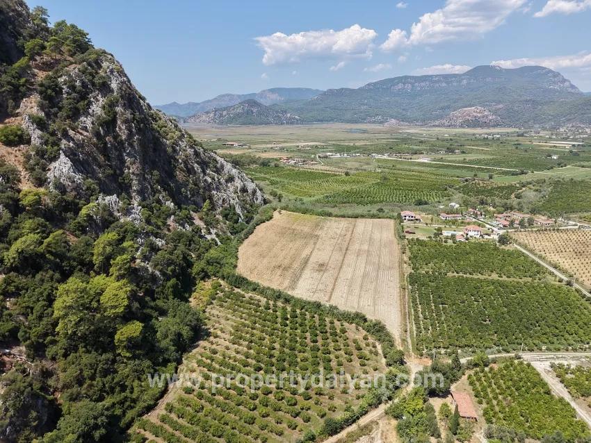 Feld Zu verkaufen in Dalyan Bz. Ortaca - Feld-Zonierung - 20.786 m²