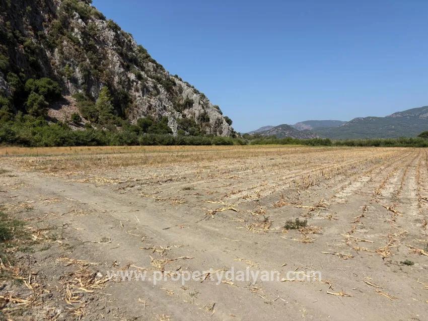 Feld Zu verkaufen in Dalyan Bz. Ortaca - Feld-Zonierung - 20.786 m²