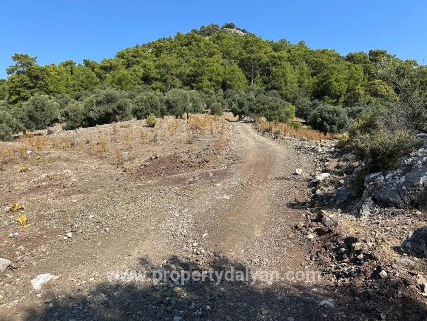 Feld Zu verkaufen in Çandır Bz. Köyceğiz - Feld-Zonierung - 21.000 m²
