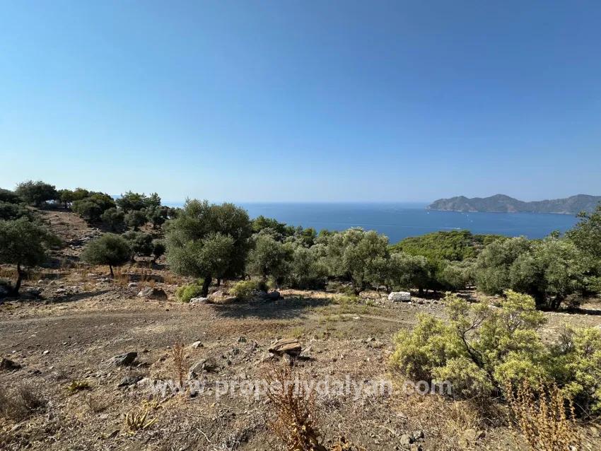 Feld Zu verkaufen in Çandır Bz. Köyceğiz - Feld-Zonierung - 21.000 m²