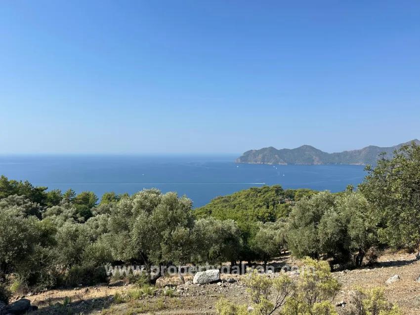 Feld Zu verkaufen in Çandır Bz. Köyceğiz - Feld-Zonierung - 21.000 m²