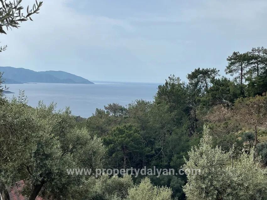 Feld Zu verkaufen in Ekincik Bz. Köyceğiz - Olive-Zonierung - 7.000 m²