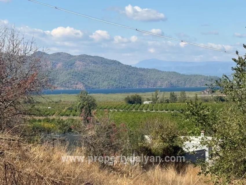 Feld Zu verkaufen in Dalyan Bz. Ortaca - Feld-Zonierung - 5.000 m²