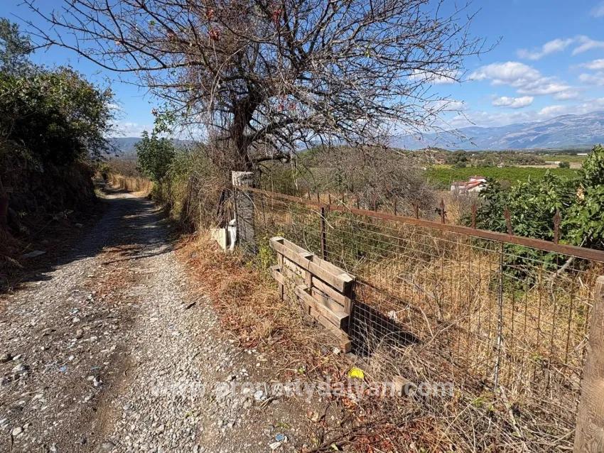 Feld Zu verkaufen in Dalyan Bz. Ortaca - Feld-Zonierung - 5.000 m²