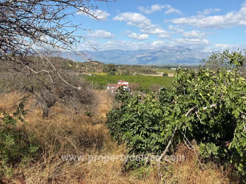 Feld Zu verkaufen in Dalyan Bz. Ortaca - Feld-Zonierung - 5.000 m²