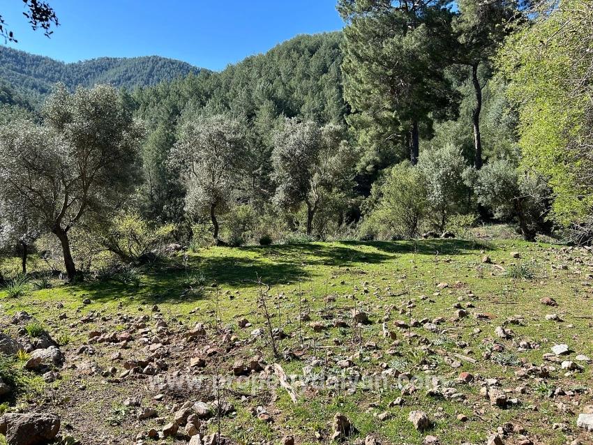 Grundstück Zum Verkauf In Gökbel, Umgeben Von Natur Und Wald.