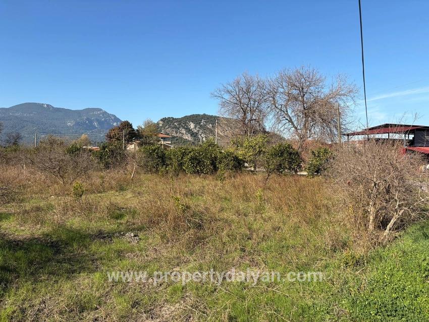 Feld Zu verkaufen in Dalyan Bz. Ortaca - Feld-Zonierung - 4.541 m²