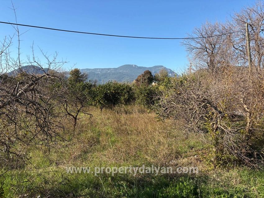 Feld Zu verkaufen in Dalyan Bz. Ortaca - Feld-Zonierung - 4.541 m²