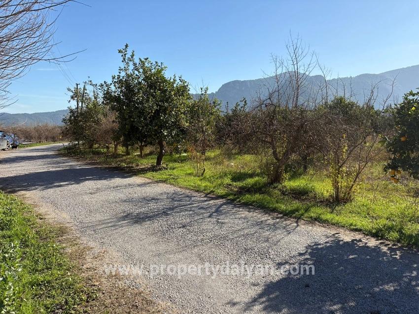 Feld Zu verkaufen in Dalyan Bz. Ortaca - Feld-Zonierung - 4.541 m²