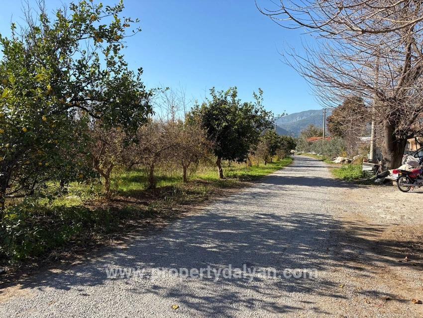 Feld Zu verkaufen in Dalyan Bz. Ortaca - Feld-Zonierung - 4.541 m²