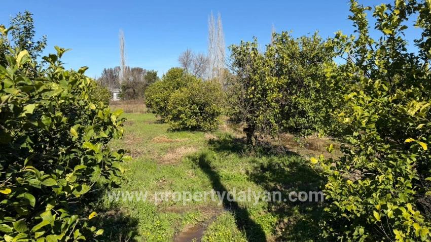 Land Zu verkaufen in Okçular Bz. Ortaca - Gehäuse-Zonierung - 2.218 m²