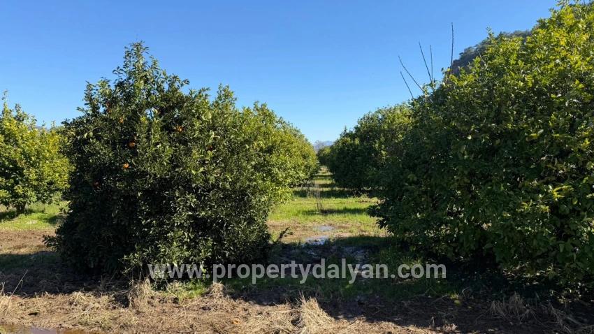 Land Zu verkaufen in Okçular Bz. Ortaca - Gehäuse-Zonierung - 2.218 m²