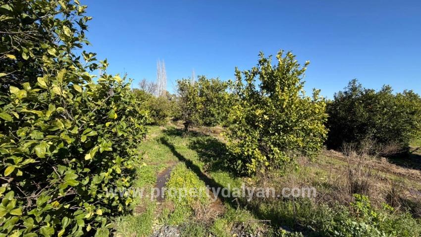 Land Zu verkaufen in Okçular Bz. Ortaca - Gehäuse-Zonierung - 2.218 m²