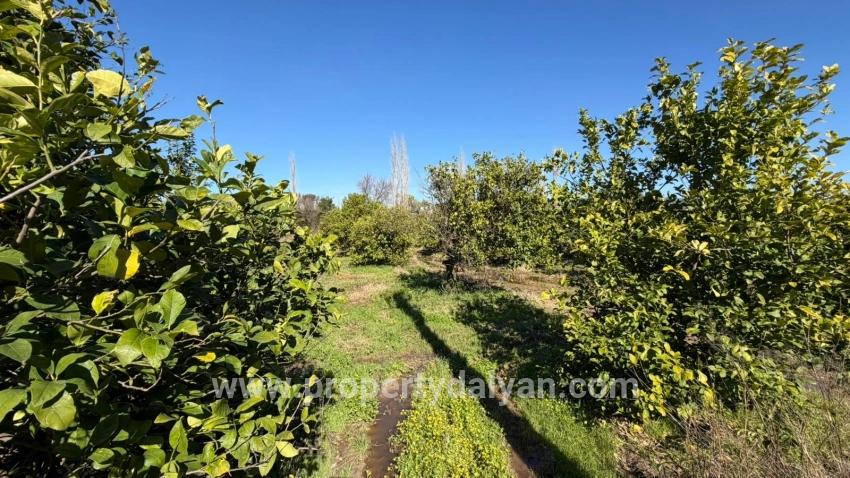 Land Zu verkaufen in Okçular Bz. Ortaca - Gehäuse-Zonierung - 2.218 m²