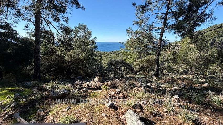 2b-feld Von 5715 M2 Zum Verkauf Mit Vollem Meerblick In Çandır