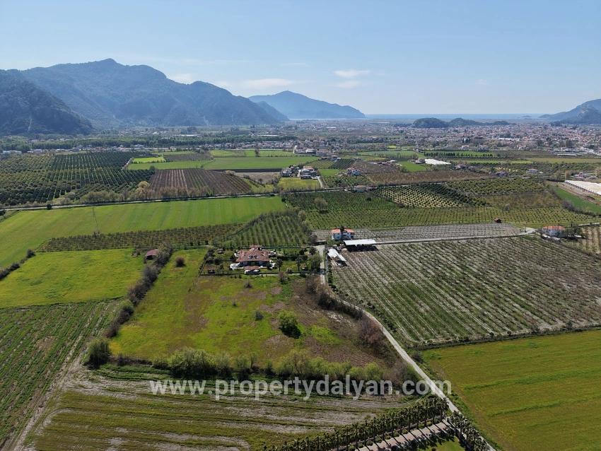 17.550 M2 Weinberg-bahce Zum Verkauf In Der Nähe Des Dalyan Centers