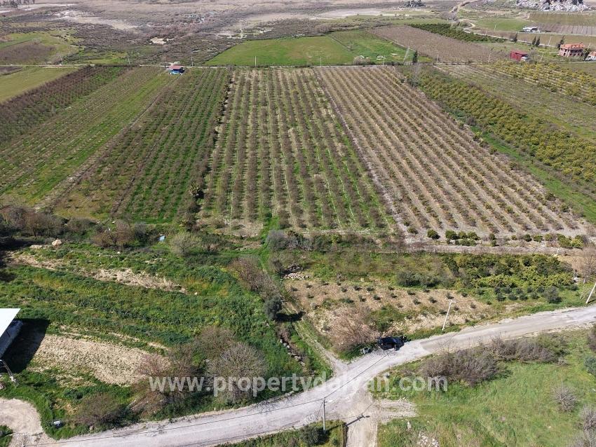 Feld Zu verkaufen in Eskiköy Bz. Ortaca - Feld-Zonierung - 16.710 m²