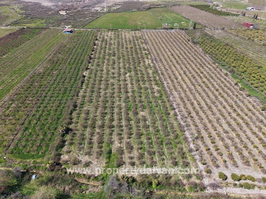 Feld Zu verkaufen in Eskiköy Bz. Ortaca - Feld-Zonierung - 16.710 m²