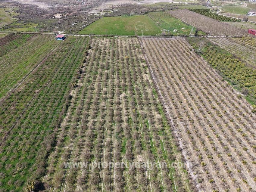 Feld Zu verkaufen in Eskiköy Bz. Ortaca - Feld-Zonierung - 16.710 m²
