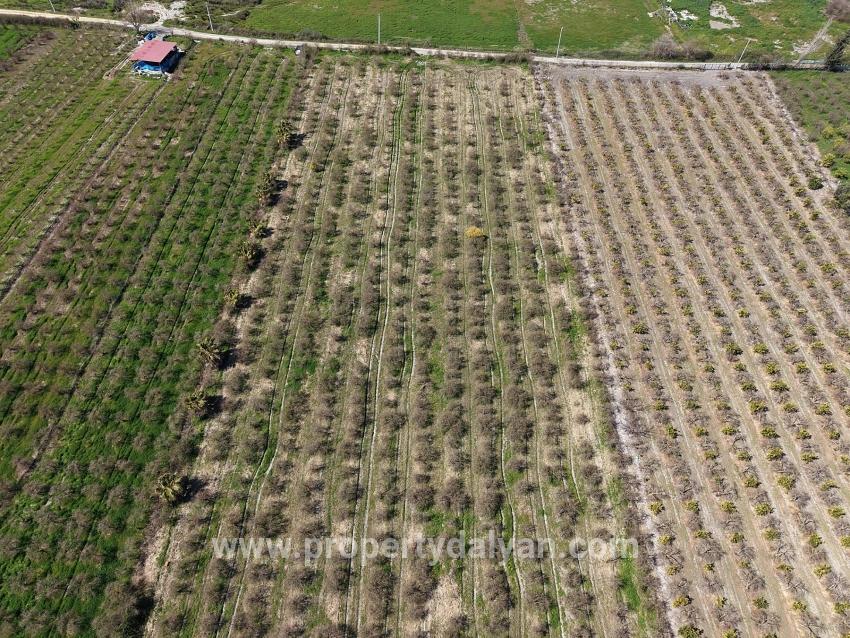 Feld Zu verkaufen in Eskiköy Bz. Ortaca - Feld-Zonierung - 16.710 m²
