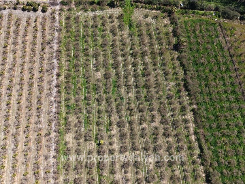 Feld Zu verkaufen in Eskiköy Bz. Ortaca - Feld-Zonierung - 16.710 m²