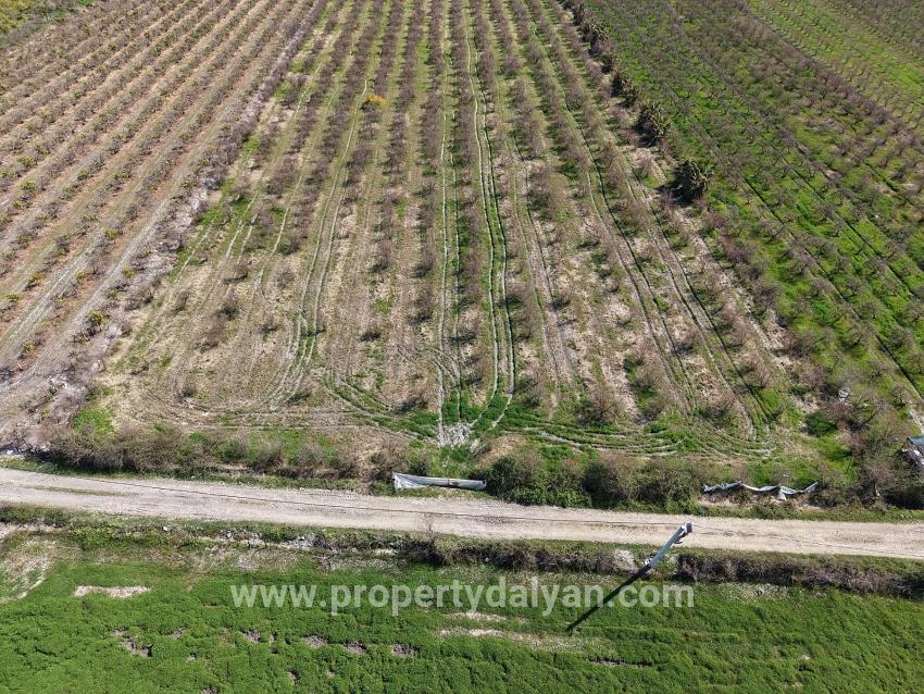 Feld Zu verkaufen in Eskiköy Bz. Ortaca - Feld-Zonierung - 16.710 m²