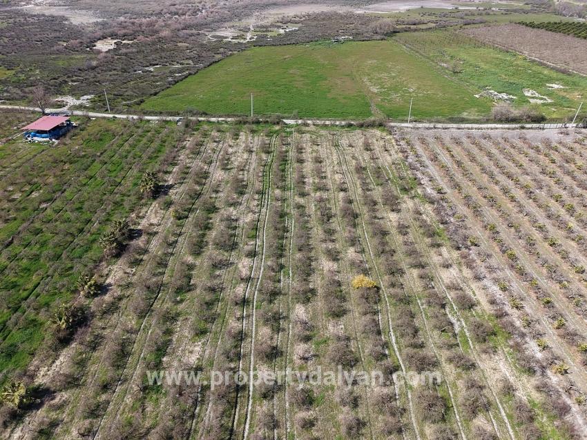 Feld Zu verkaufen in Eskiköy Bz. Ortaca - Feld-Zonierung - 16.710 m²