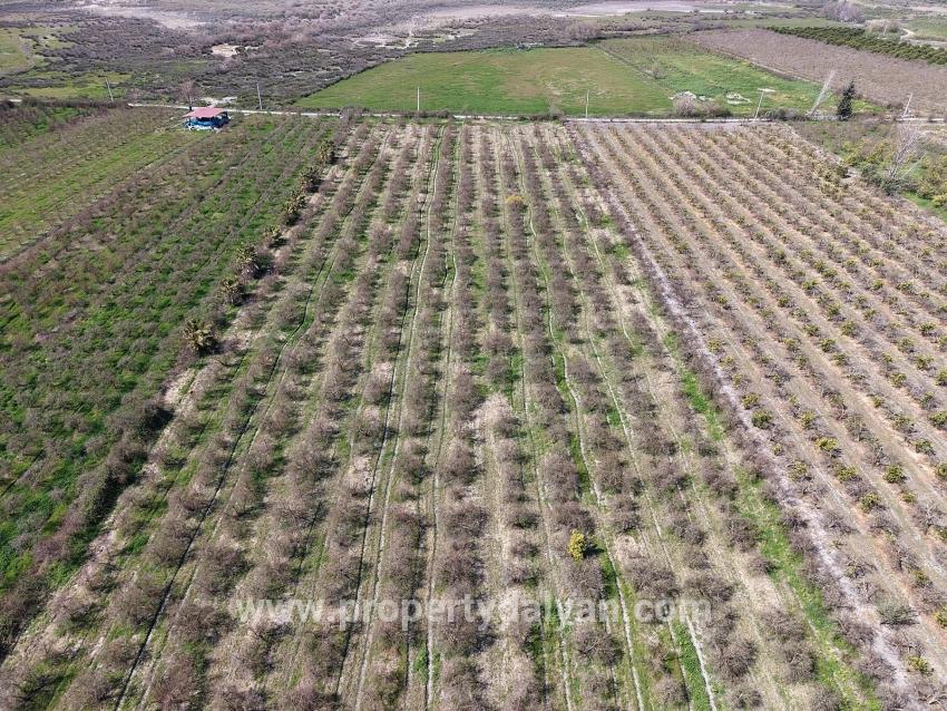 Feld Zu verkaufen in Eskiköy Bz. Ortaca - Feld-Zonierung - 16.710 m²