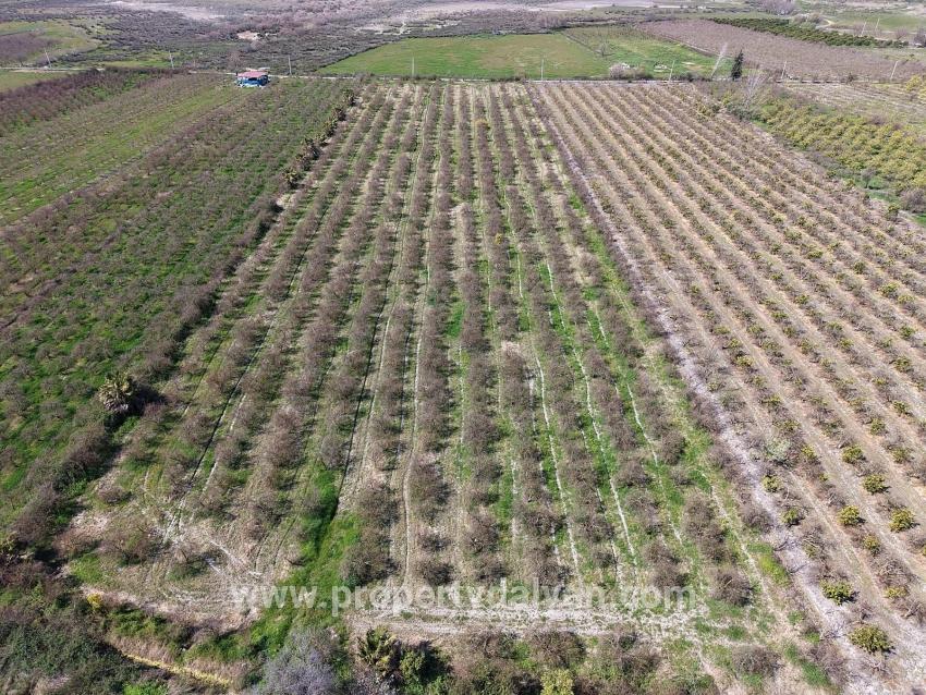 Feld Zu verkaufen in Eskiköy Bz. Ortaca - Feld-Zonierung - 16.710 m²