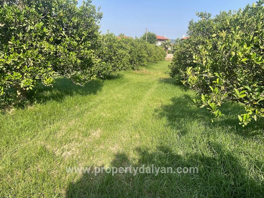 722m2 Grundstück Zum Verkauf In Dalyan Gülpınar