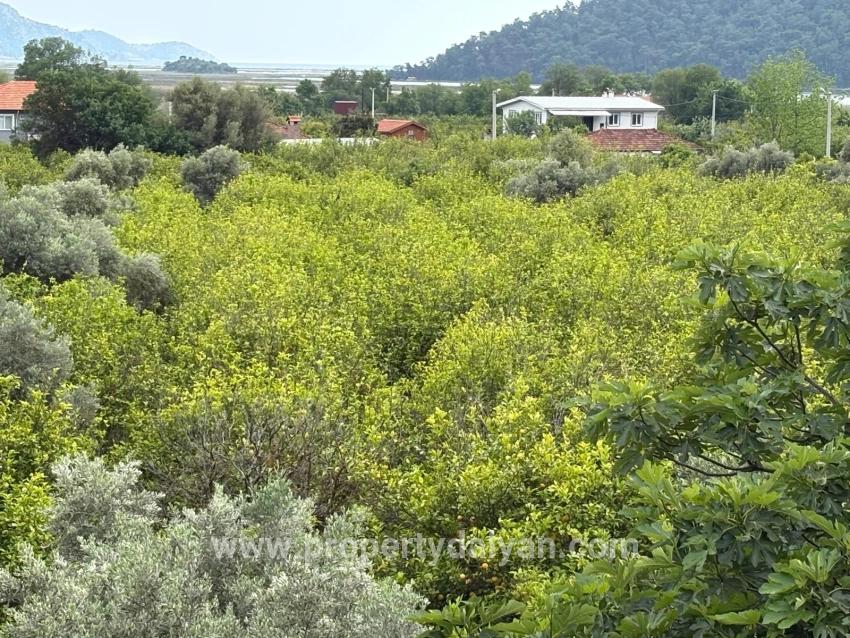 Feld Zu verkaufen in Çandır Bz. Köyceğiz - Feld-Zonierung - 1.721 m²