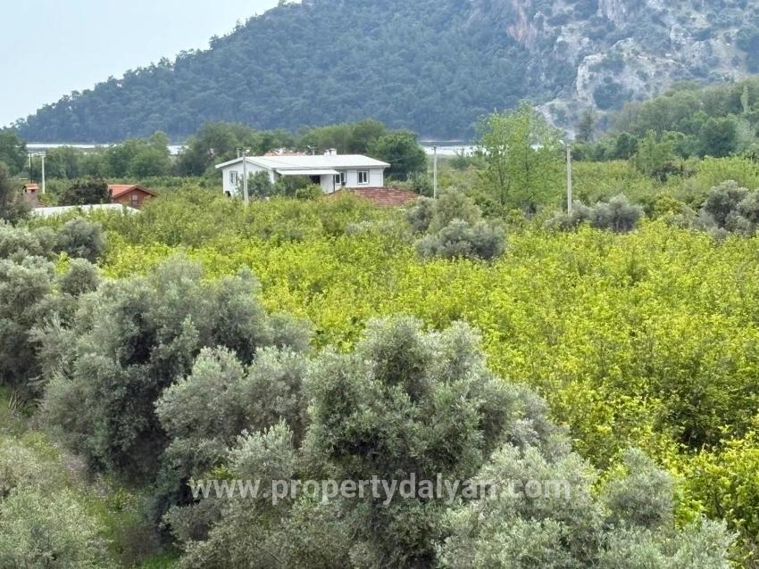 Feld Zu verkaufen in Çandır Bz. Köyceğiz - Feld-Zonierung - 1.721 m²