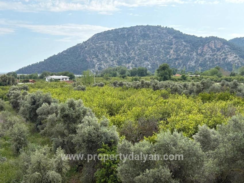 Feld Zu verkaufen in Çandır Bz. Köyceğiz - Feld-Zonierung - 1.721 m²