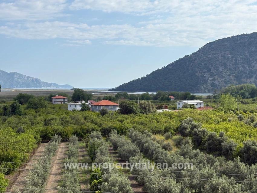 Feld Zu verkaufen in Çandır Bz. Köyceğiz - Feld-Zonierung - 1.721 m²