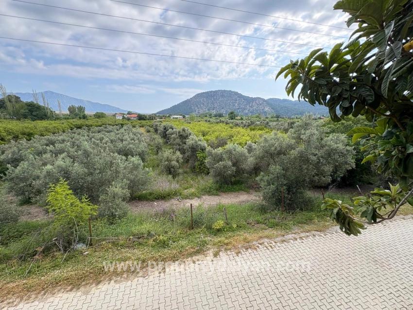 Feld Zu verkaufen in Çandır Bz. Köyceğiz - Feld-Zonierung - 1.721 m²