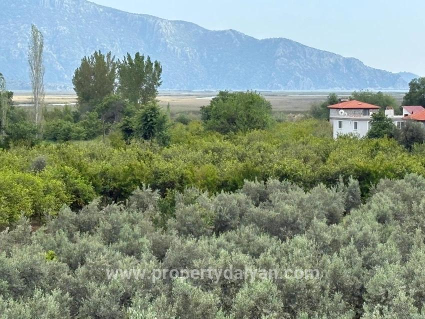 Feld Zu verkaufen in Çandır Bz. Köyceğiz - Feld-Zonierung - 1.721 m²