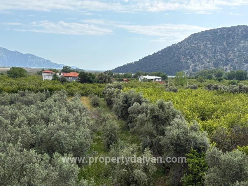 Feld Zu verkaufen in Çandır Bz. Köyceğiz - Feld-Zonierung - 1.721 m²