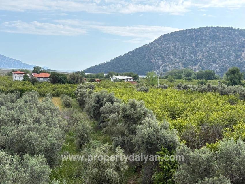 Feld Zu verkaufen in Çandır Bz. Köyceğiz - Feld-Zonierung - 1.721 m²