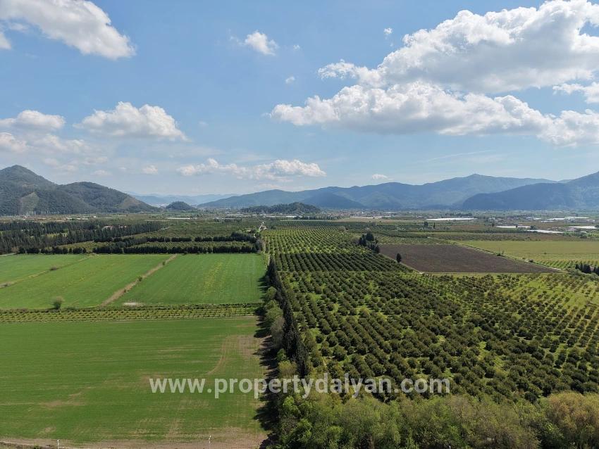 16.000 M² Großer Granatapfelgarten In Eskiköy Zu Verkaufen