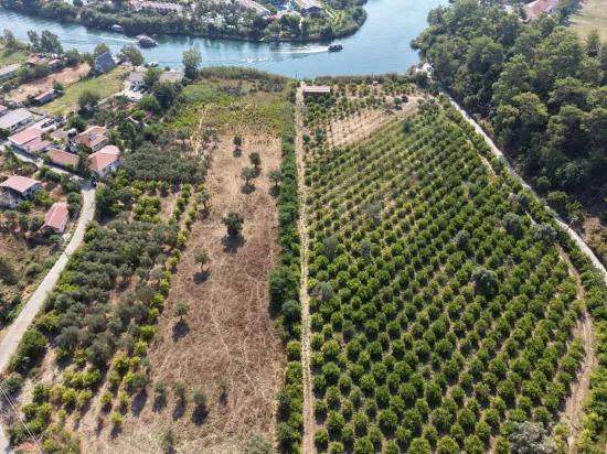 Im Köyceğiz Çandır Mahallesinde kanala sıfır 20.000m2 satılık Feld