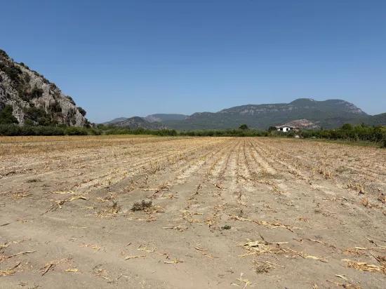 In Dalyan 20.786m2 Verkaufsfeld