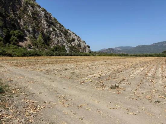 In Dalyan 20.786m2 Verkaufsfeld