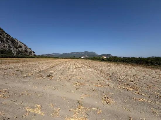 In Dalyan 20.786m2 Verkaufsfeld