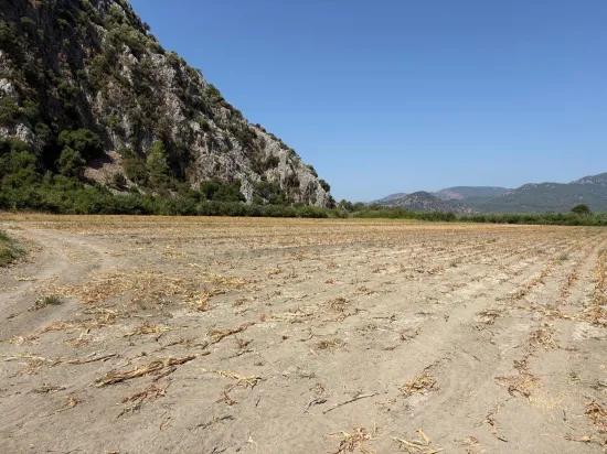 In Dalyan 20.786m2 Verkaufsfeld
